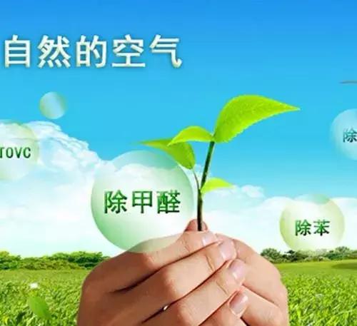 甲醛超標(biāo)怎么判斷呢？