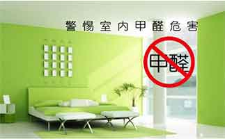 什么東西吸甲醛最好？盤(pán)點(diǎn)生活中常見(jiàn)的除甲醛